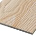 Фиброцементные панели FCSPRO Decor Wood Лиственница купить в Петрозаводске